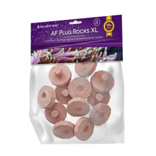 AF Plug Rocks Purple XL 12 stk