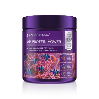 AF Protein Power 120 g