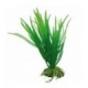 Hobby Cyperus 16 cm