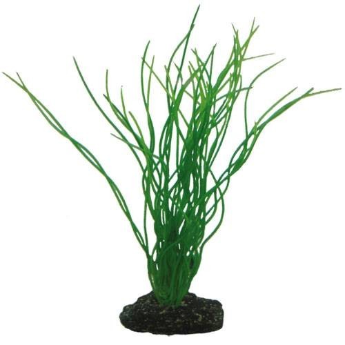 Hobby Sagittaria 20 cm