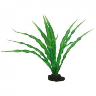 Hobby Crinum 29 cm