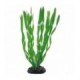 Hobby Vallisneria 20 cm