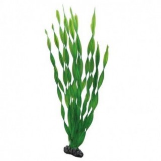 Hobby Vallisneria 46 cm