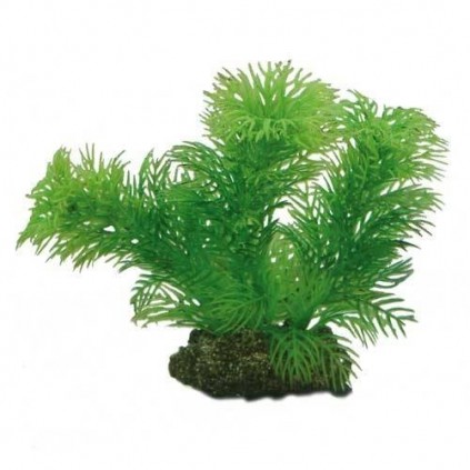 Hobby Egeria 13 cm