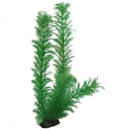 Hobby Egeria 34 cm