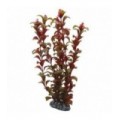 Hobby Rotala 16 cm