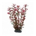 Hobby Ludwigia 25 cm