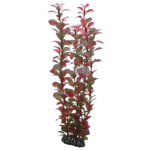 Hobby Ludwigia 34 cm