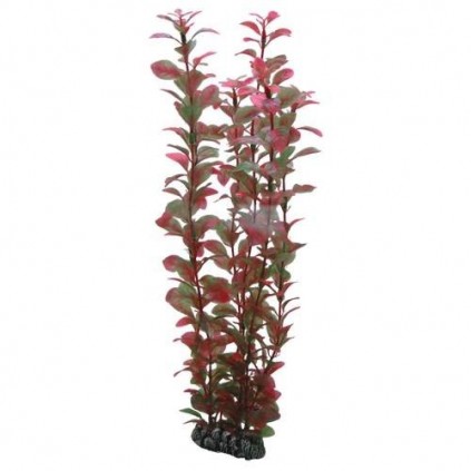 Hobby Ludwigia 34 cm