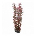 Hobby Ludwigia 34 cm