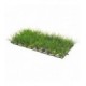 Hobby Plant Mat 1 25x12,5 cm