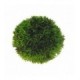 Hobby Plant Ball 9 cm