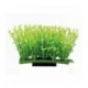 Hobby Plant Pad 1 7x4,5x5,5 cm