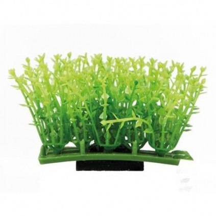 Hobby Plant Pad 1 7x4,5x5,5 cm