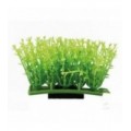 Hobby Plant Pad 1 7x4,5x5,5 cm