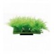 Hobby Plant Pad 2 7x4,5x4 cm