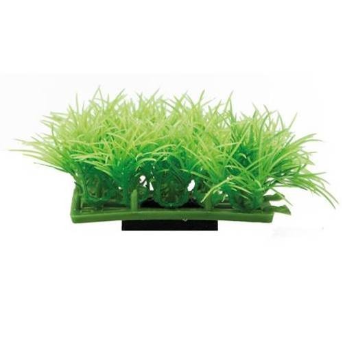 Hobby Plant Pad 2 7x4,5x4 cm