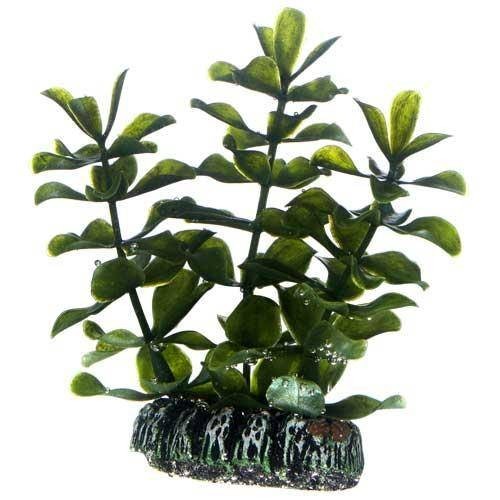 Hobby Bacopa 7 cm