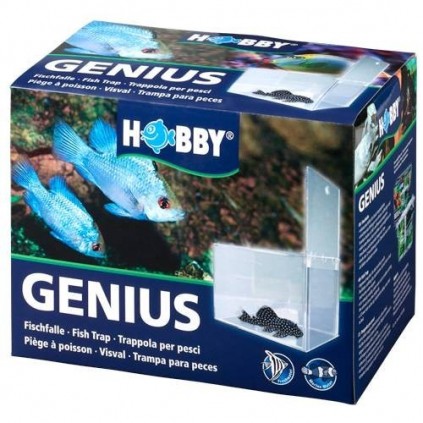 Hobby Genius 21x13x15 cm