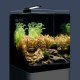 Dennerle Nano Cube Basic, 20 L