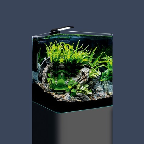 Dennerle Nano Cube Basic, 30 L