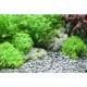 Dennerle Natural Gravel Plantahunter River S