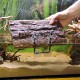 Hobby Turtle Island 3 40,5x22 cm