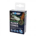 Hobby Alder Cones 50 Stk.