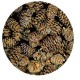 Hobby Alder Cones 50 Stk.