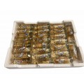 Water fleas (Daphnia) - 25x90 ml