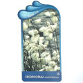 Eriophorum angustifolium