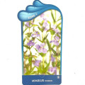 Mimulus ringens