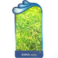 Scirpus cernuus